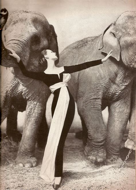 dovima cristian dior|dovima with elephants dior.